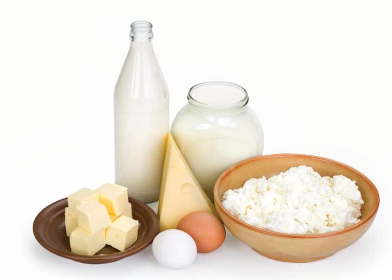 Importance of Calcium: Elder Care Belle Harbor NY